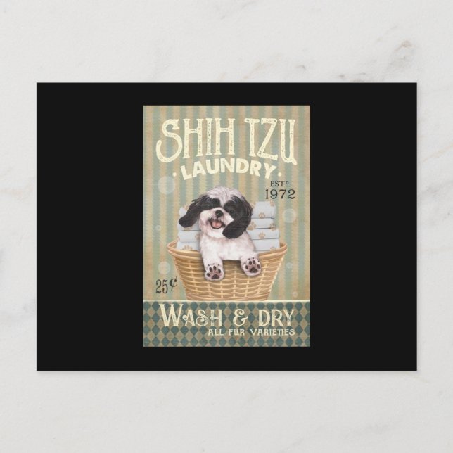 Shih Tzu Hund Cute Shih Tzu Life Puppy Tzu Vykort (Framsida)