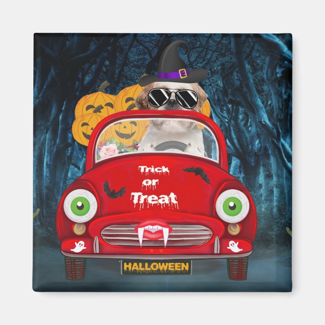 Shih Tzu Hund Driving Car Scary Halloween Magnet (Framsidan)