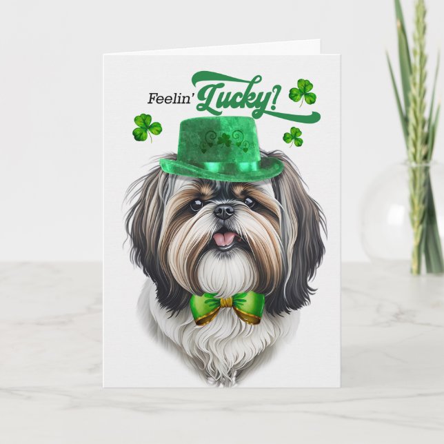 Shih Tzu Hund Feelin' Lucky St patrick's day Helgkort (Framsida)