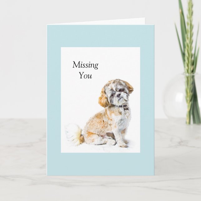 Shih Tzu Hund Greeting Card Kort (Framsida)