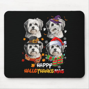 Shih Tzu Hund Hallothanksmas Halloween Thanksgivin Musmatta