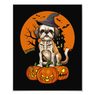 Shih Tzu Hund Halloween Fototryck