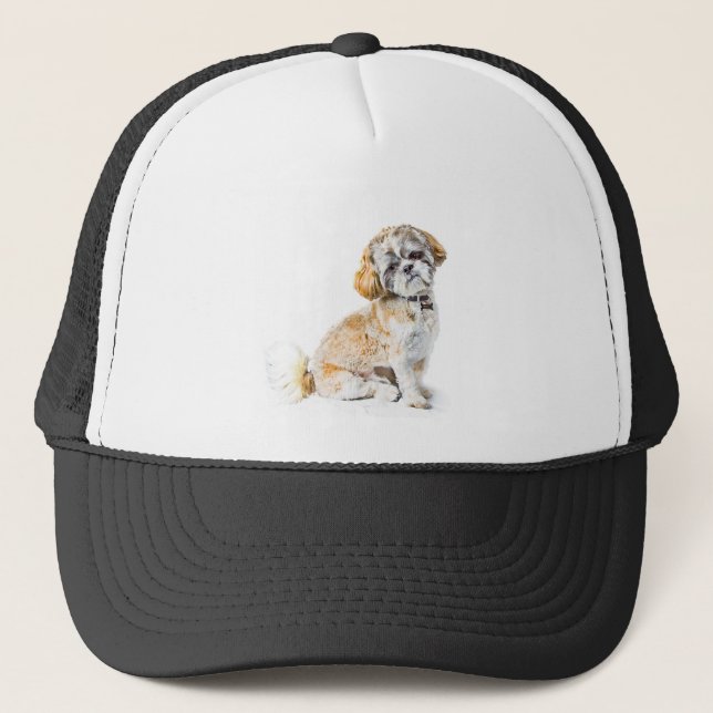 Shih Tzu Hund Hat Keps (Framsida)