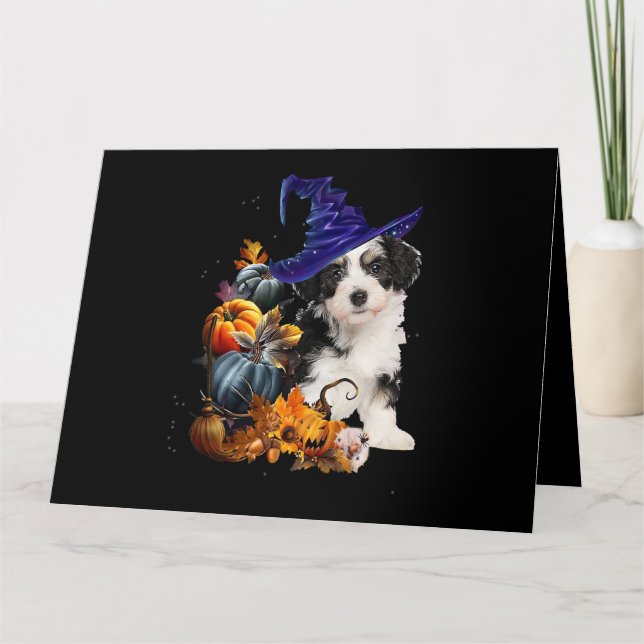 Shih Tzu Hund Häxa Och Pumpa Halloween Thanksgivin Kort (Framsida)