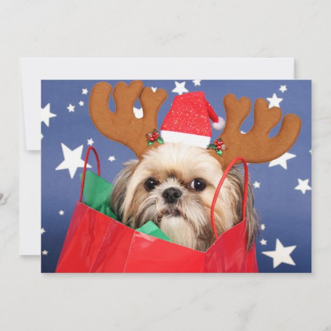Shih Tzu hund i ett rött shopping bag (Framsida)
