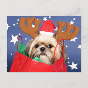 Shih Tzu hund i ett rött shopping bag Vykort