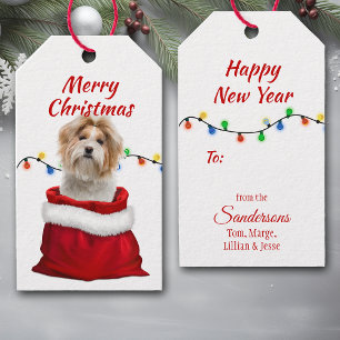 Shih Tzu Hund i Santa Bag Presentetikett