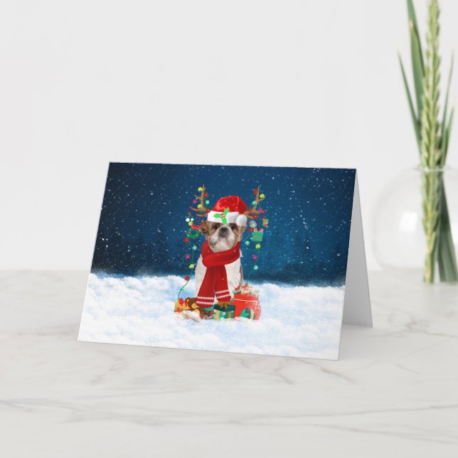 Shih Tzu Hund i Snö med julklappar Helgkort (Framsida)