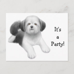Shih Tzu Hund Inbjudan