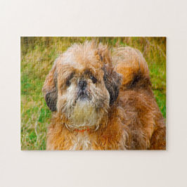 Shih Tzu Hund Jigsaws. Pussel