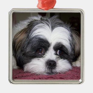 Shih Tzu hund Julgransprydnad Metall