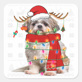 Shih Tzu Hund Julljus - Djurälskarn Puppy Fyrkantigt Klistermärke