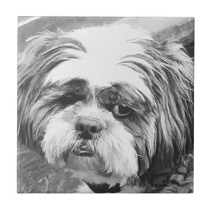 SHIH TZU HUND KAKELPLATTA