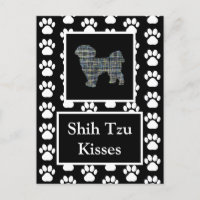 Shih Tzu Hund Kisses Silhouette Gult & Blue Grid