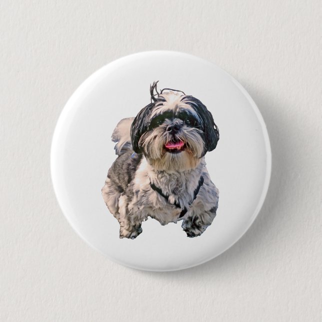 Shih Tzu hund Knapp (Framsida)