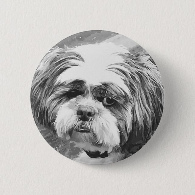 SHIH TZU HUND KNAPP (Framsida)