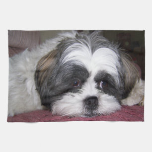 Shih Tzu hund Kökshandduk