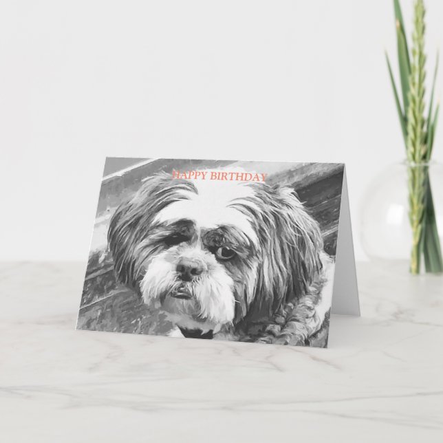 SHIH TZU HUND KORT (Framsida)