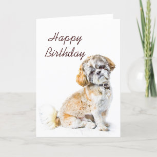 Shih Tzu Hund-kort Kort