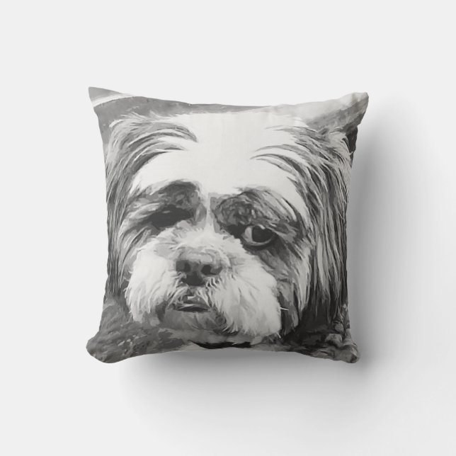 SHIH TZU HUND KUDDE (Framsida)