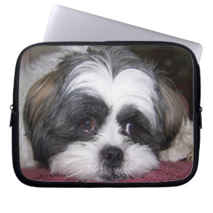Shih Tzu hund Laptop Fodral