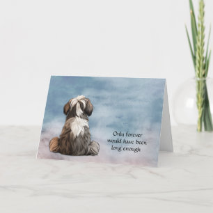 Shih Tzu Hund Loss Sympathy Card Helgkort