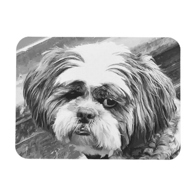 SHIH TZU HUND MAGNET (Horisontell)