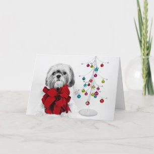 Shih Tzu hund med den röda pilbågen vid Helgkort