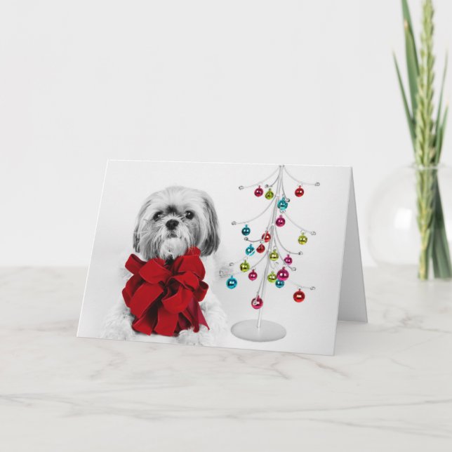 Shih Tzu hund med den röda pilbågen vid Helgkort (Framsida)