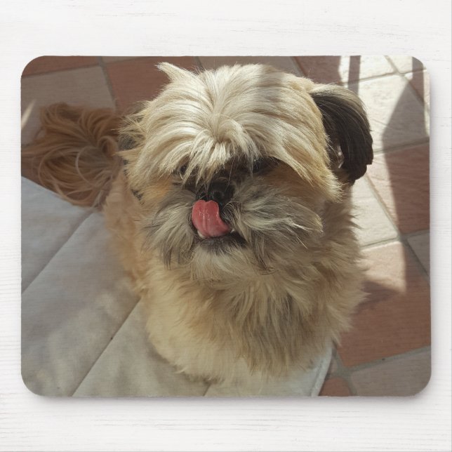 Shih Tzu hund mousepad Musmatta (Framsidan)