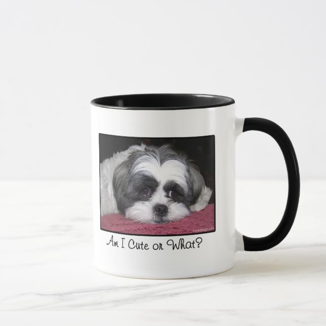 Shih Tzu hund Mugg (Höger)