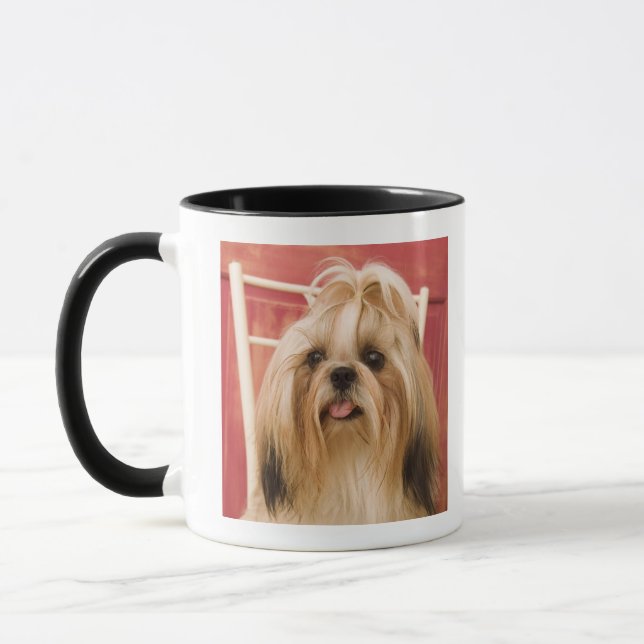 Shih-tzu hund mugg (Vänster)