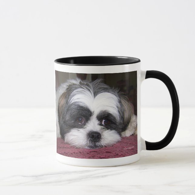 Shih Tzu hund Mugg (Höger)