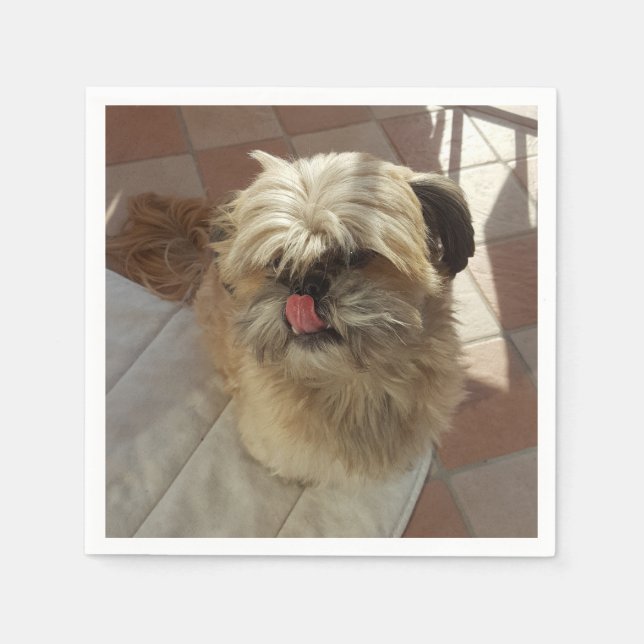 Shih Tzu hund pappers servetter (Framsidan)