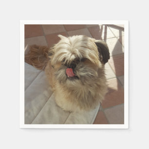 Shih Tzu hund pappersservetter