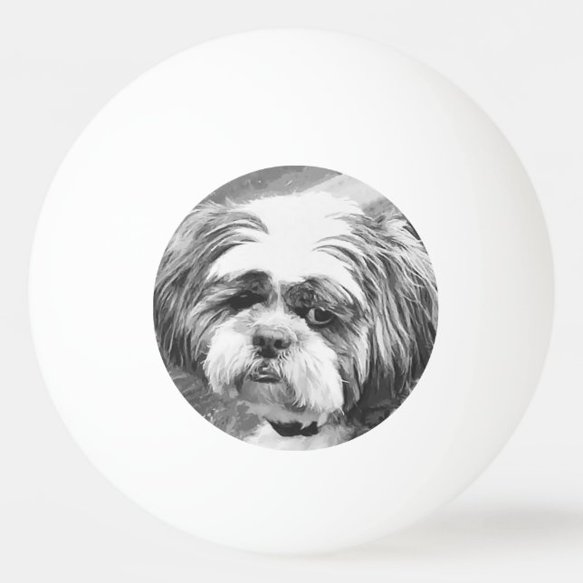SHIH TZU HUND PINGISBOLL (Framsidan)