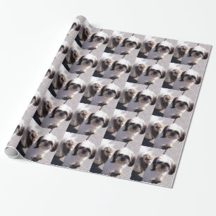 Shih Tzu hund Presentpapper