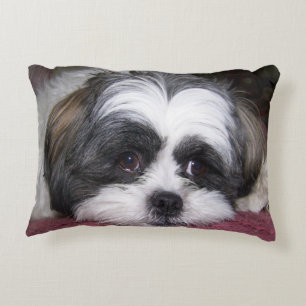 Shih Tzu hund Prydnadskudde