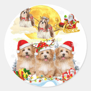 Shih Tzu Hund Santa Sleigh Jul Älskare Gift Runt Klistermärke