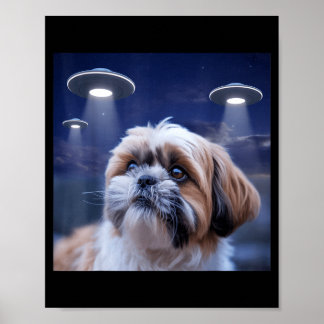 Shih tzu hund shihtzu hund utomjording ufos shitzh poster