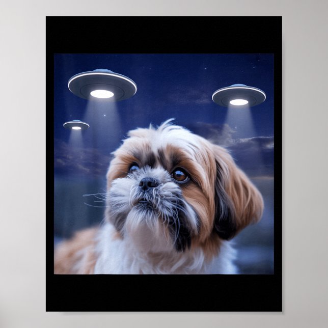Shih tzu hund shihtzu hund utomjording ufos shitzh poster (Framsidan)