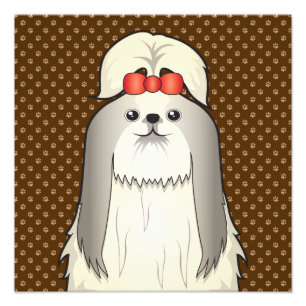 Shih Tzu Hund Tecknad Tassar Fototryck