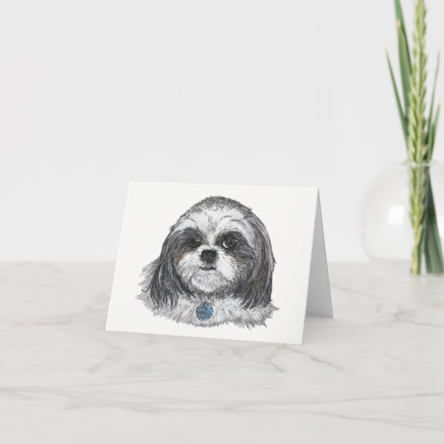 Shih Tzu Hund Tom Kort (Framsida)