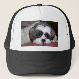 Shih Tzu hund Truckerkeps