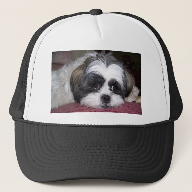 Shih Tzu hund Truckerkeps (Framsida)