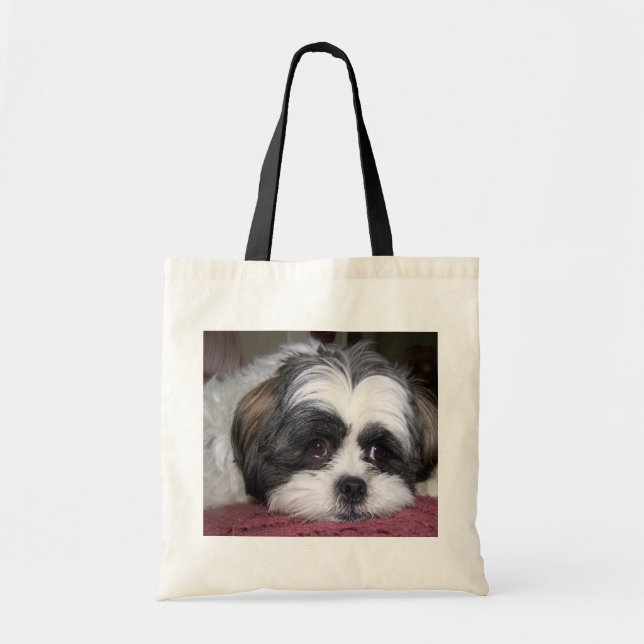 Shih Tzu hund Tygkasse (Framsidan)