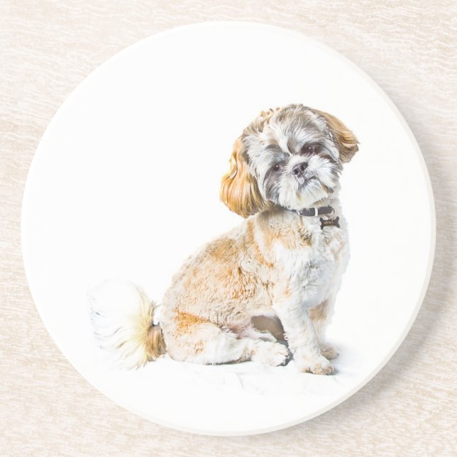 Shih Tzu-Hund Underlägg (Framsidan)