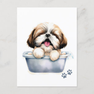 Shih Tzu Hund Vykort