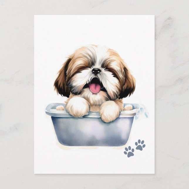 Shih Tzu Hund Vykort (Framsida)