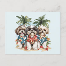Shih Tzu-hundar som bär hawaiijackor